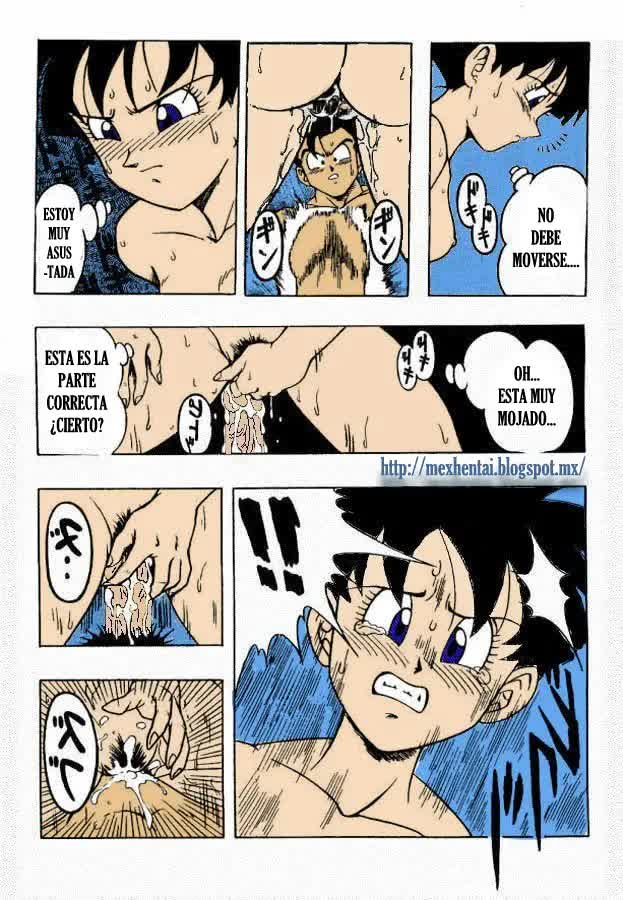 Dragon Ball H Comic porno