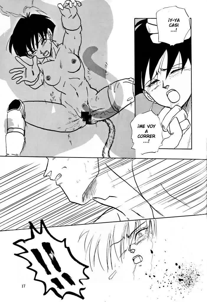 Dragon ball z XX Comic porno