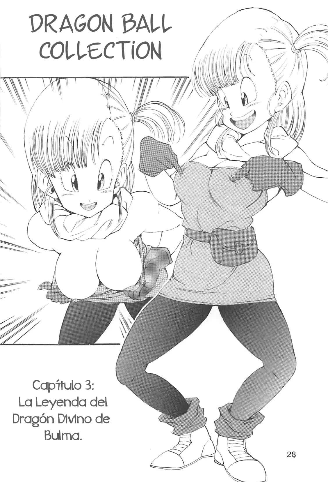 Dragon Ball Girls Collection 1 Fukkokuban Comic porno
