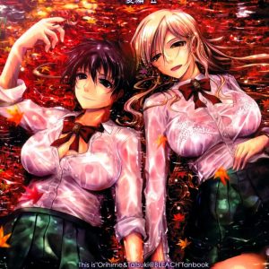 Aki-Akane Kouhen 2 – Aki-Akane -Secuela 2-