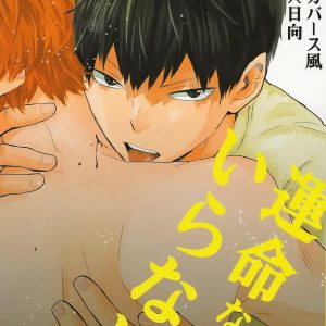 Unmei nante Iranai Gekan