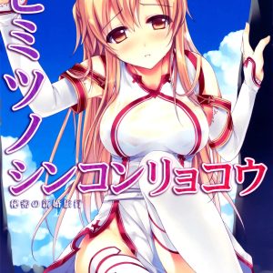 Himitsu no Shinkonryokou – Luna de miel secreta