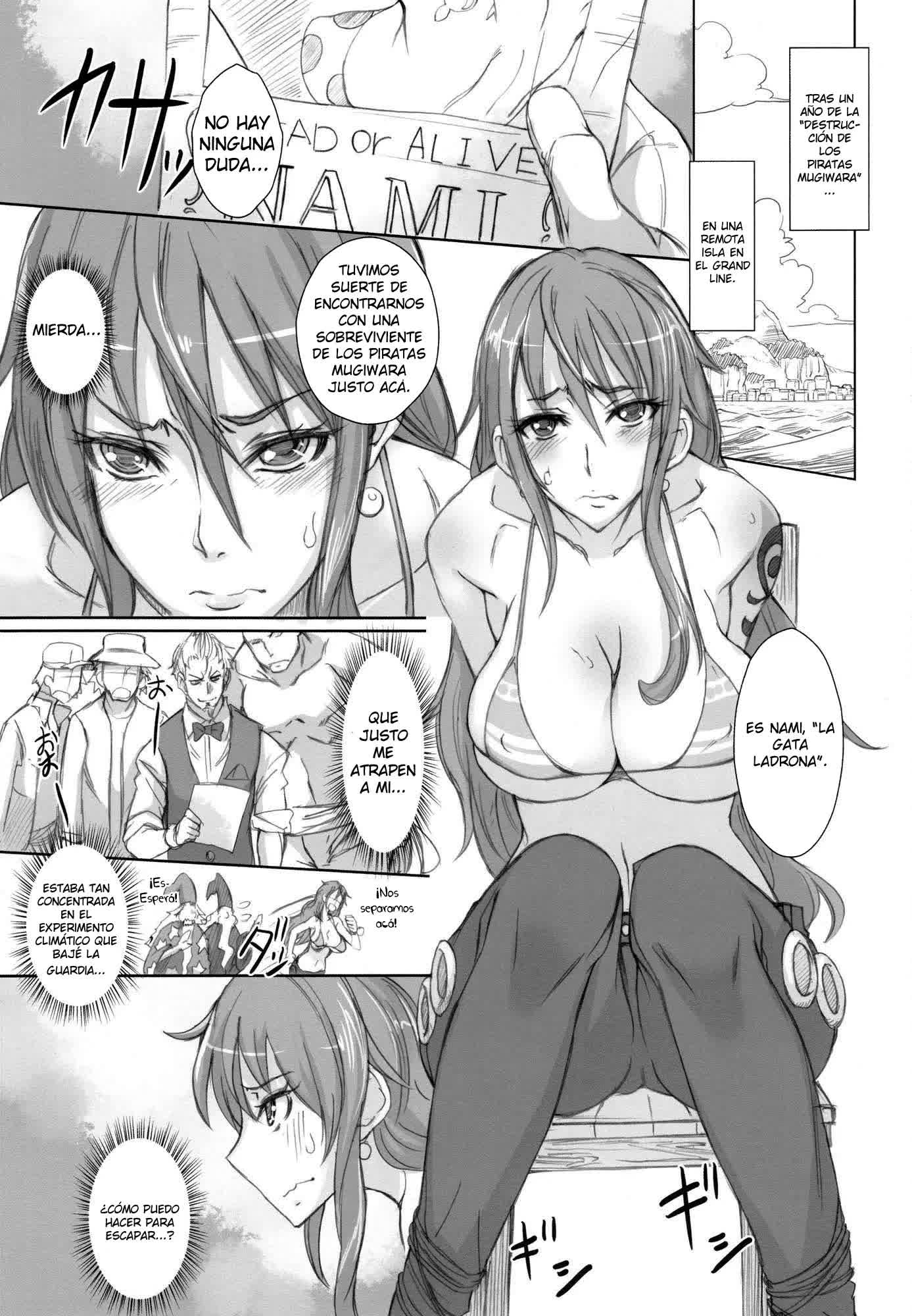 Grandline Chronicle 2 - Rainyuu Comic porno