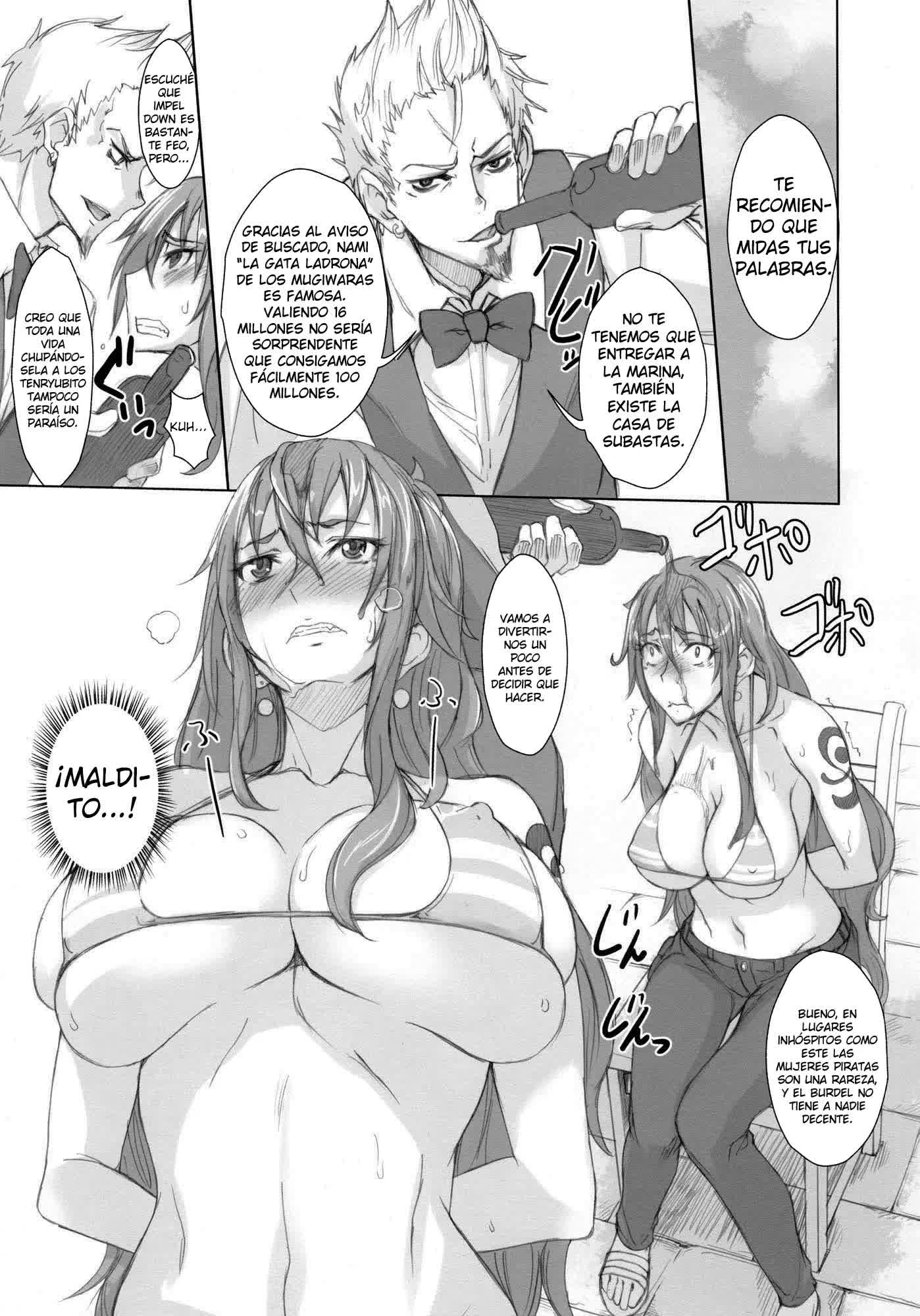 Grandline Chronicle 2 - Rainyuu Comic porno