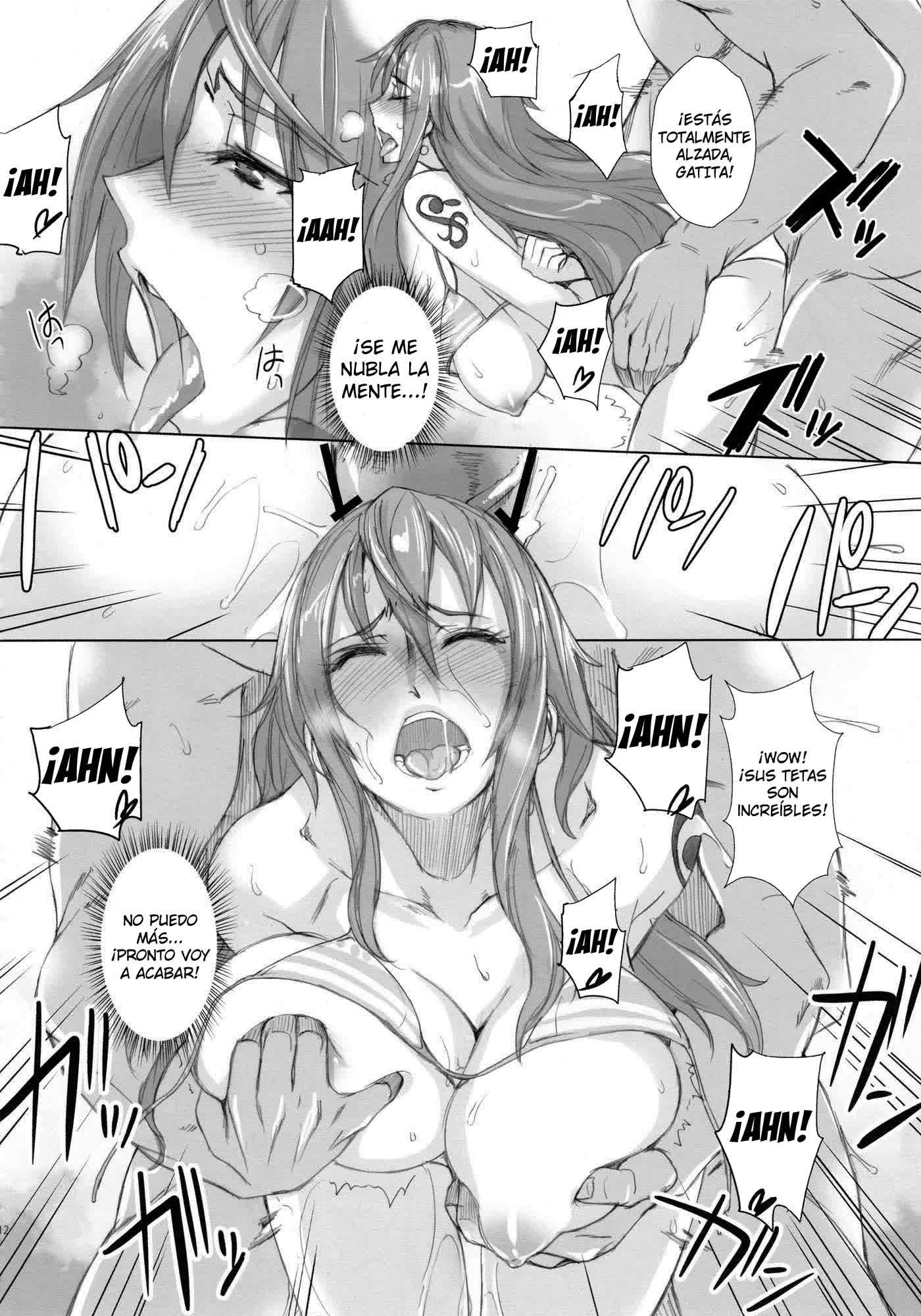 Grandline Chronicle 2 - Rainyuu Comic porno