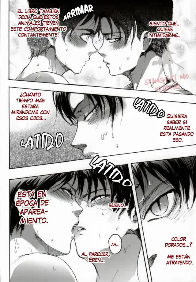 Neko ni Natta Buka ga Katte ni Hatsujou Shite Sugoku Komaru Comic porno