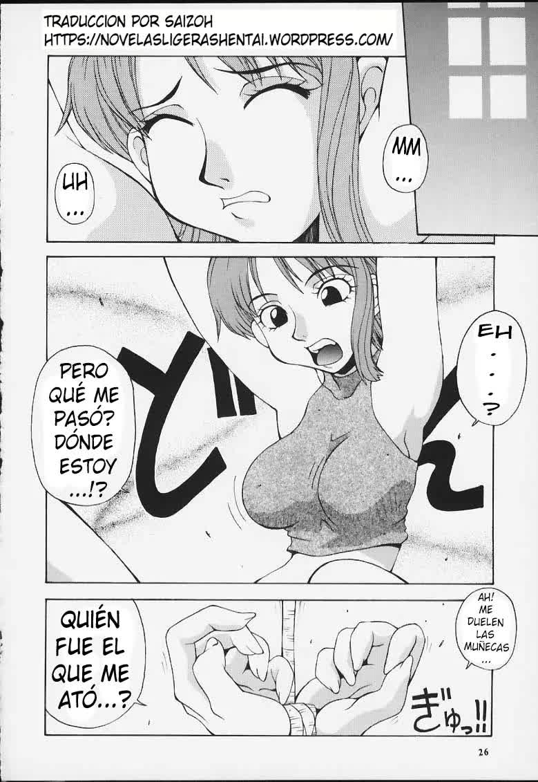 Nyan Nyan Love Nami II Comic porno