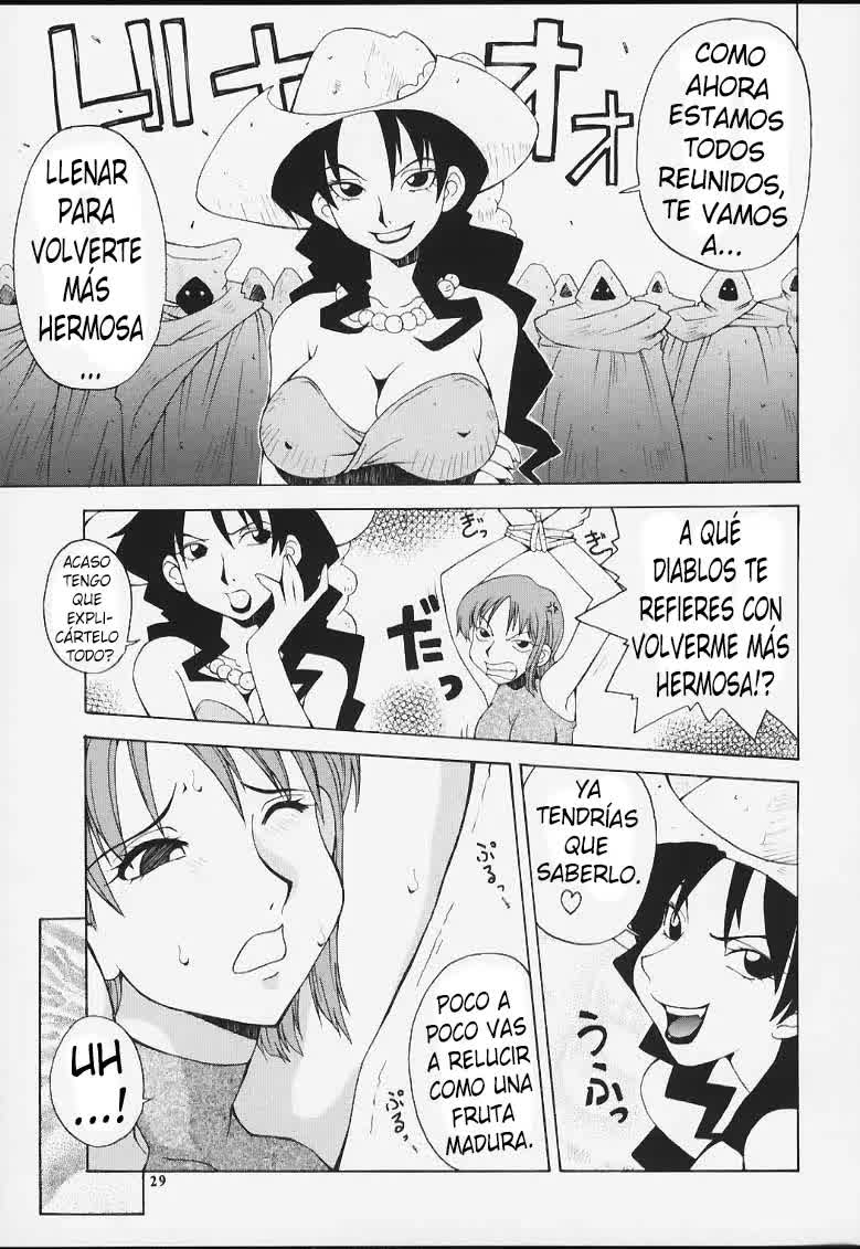 Nyan Nyan Love Nami II Comic porno