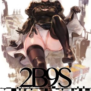 2B9S