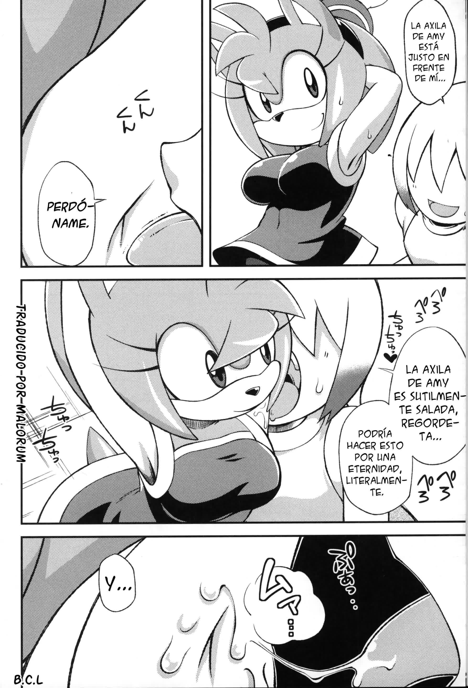 Ore no Fuyu - Amy Rose y Blaze The Cat Comic porno