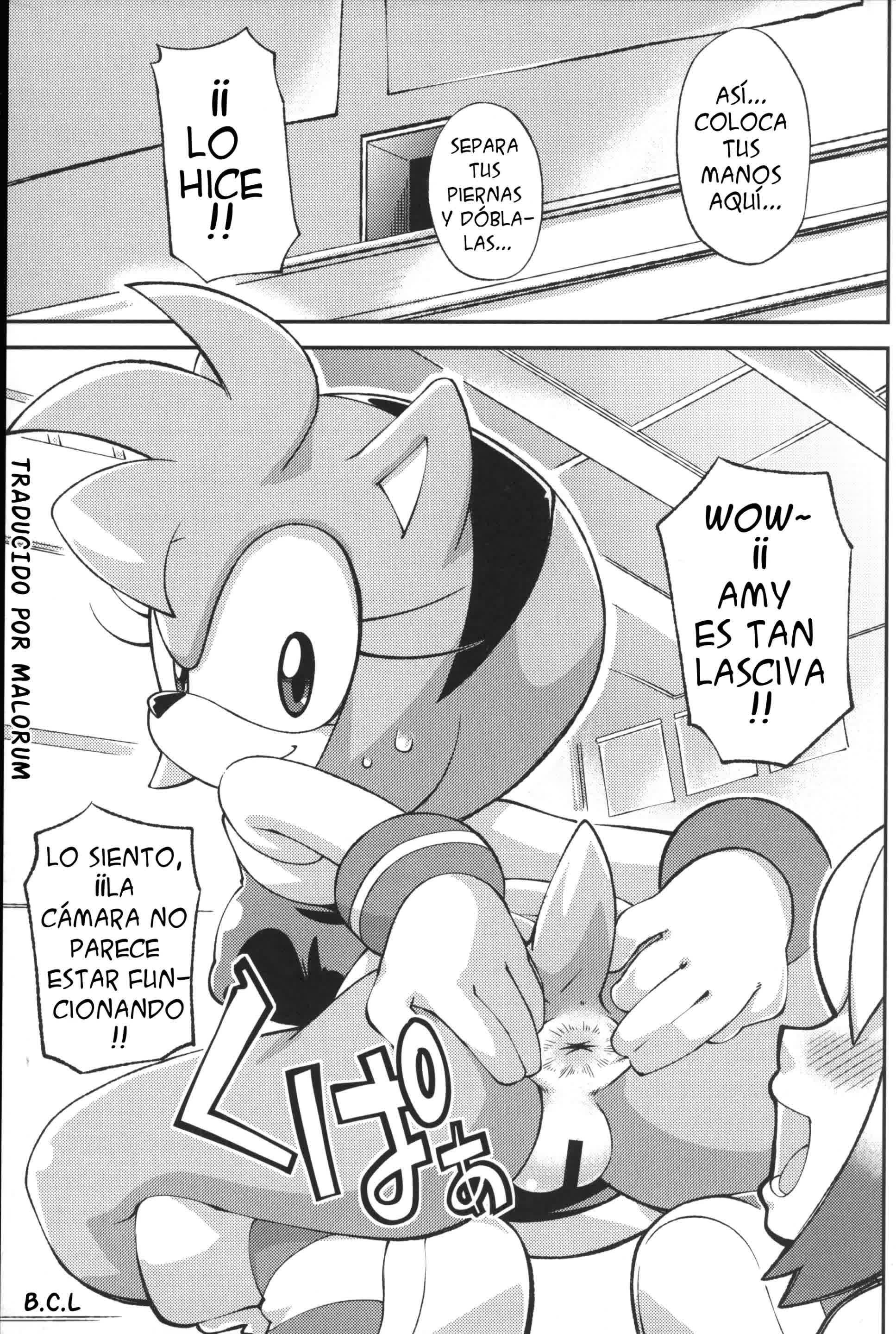 Ore no Fuyu - Amy Rose y Blaze The Cat Comic porno