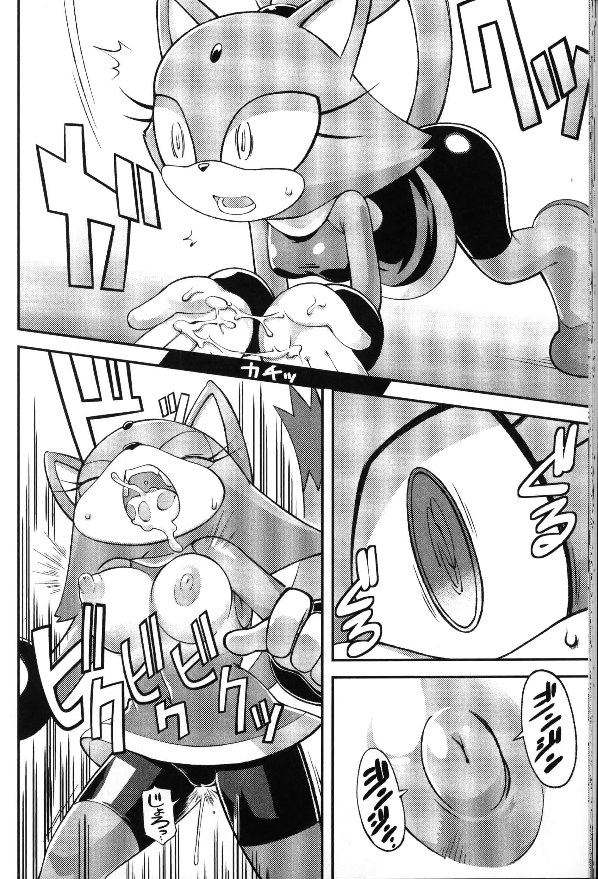 Ore no Fuyu - Amy Rose y Blaze The Cat Comic porno